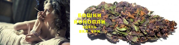 ПСИЛОЦИБИНОВЫЕ ГРИБЫ Семёнов